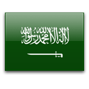 USD SAR